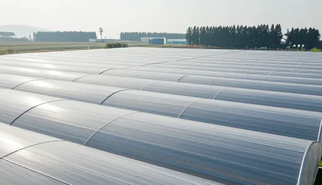 苏州网站建设公司哪家好？具体因素影响结果的原因